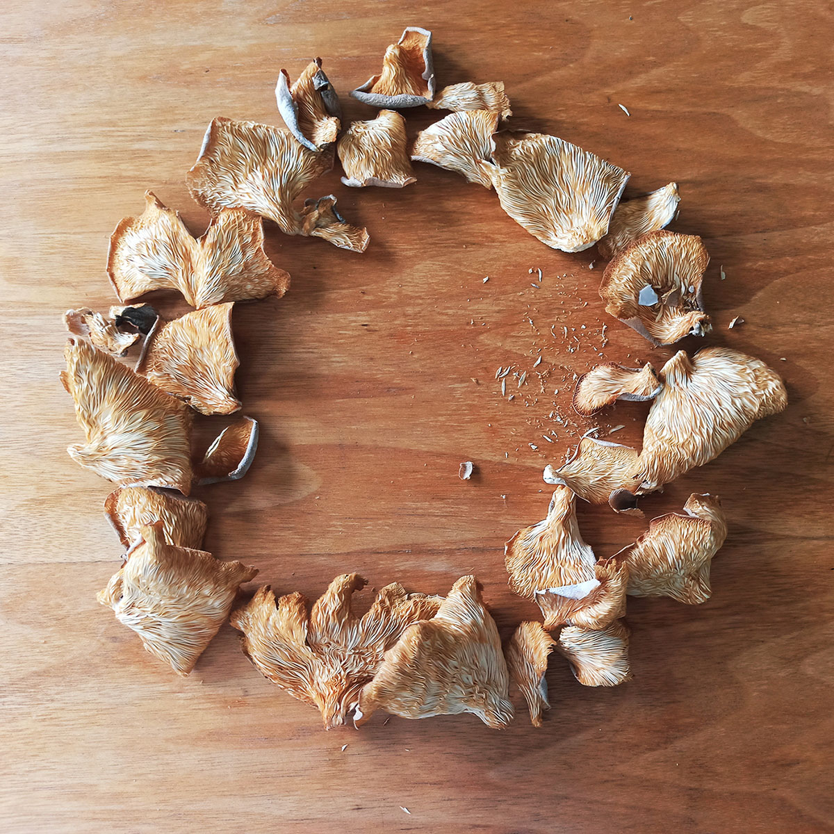 Grow New Zealand Mushrooms