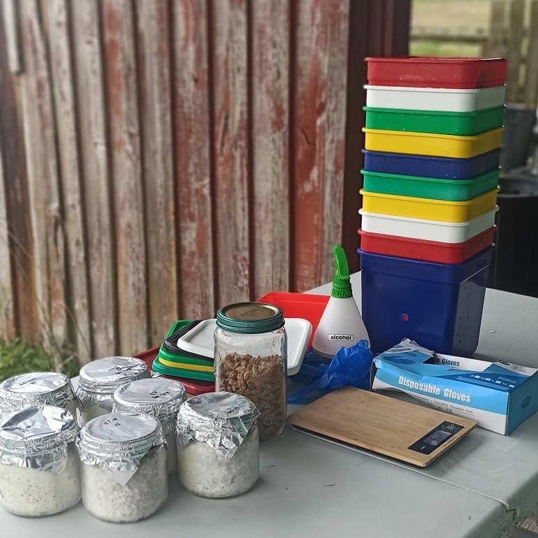 Grow It Yourself Workshop