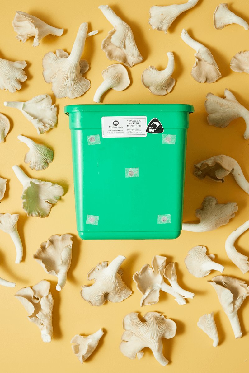 Grow It Yourself Kits