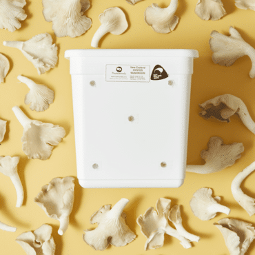 Four Litre Oyster Mushroom Grow Kit